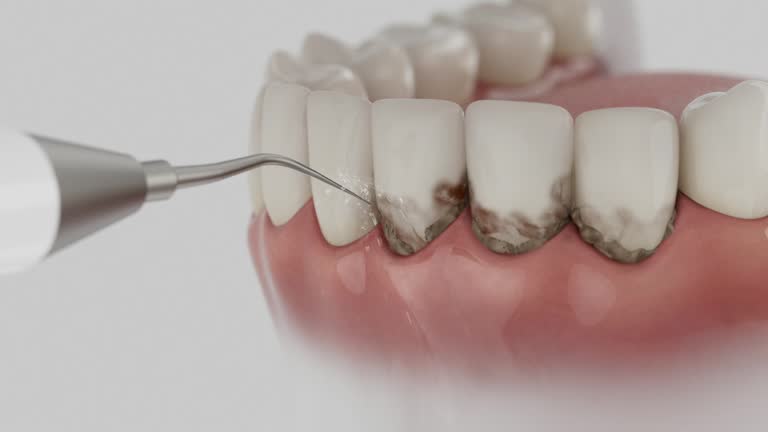Reliable Dental contractor in Beach Haven West, NJ by Dentist Open Now